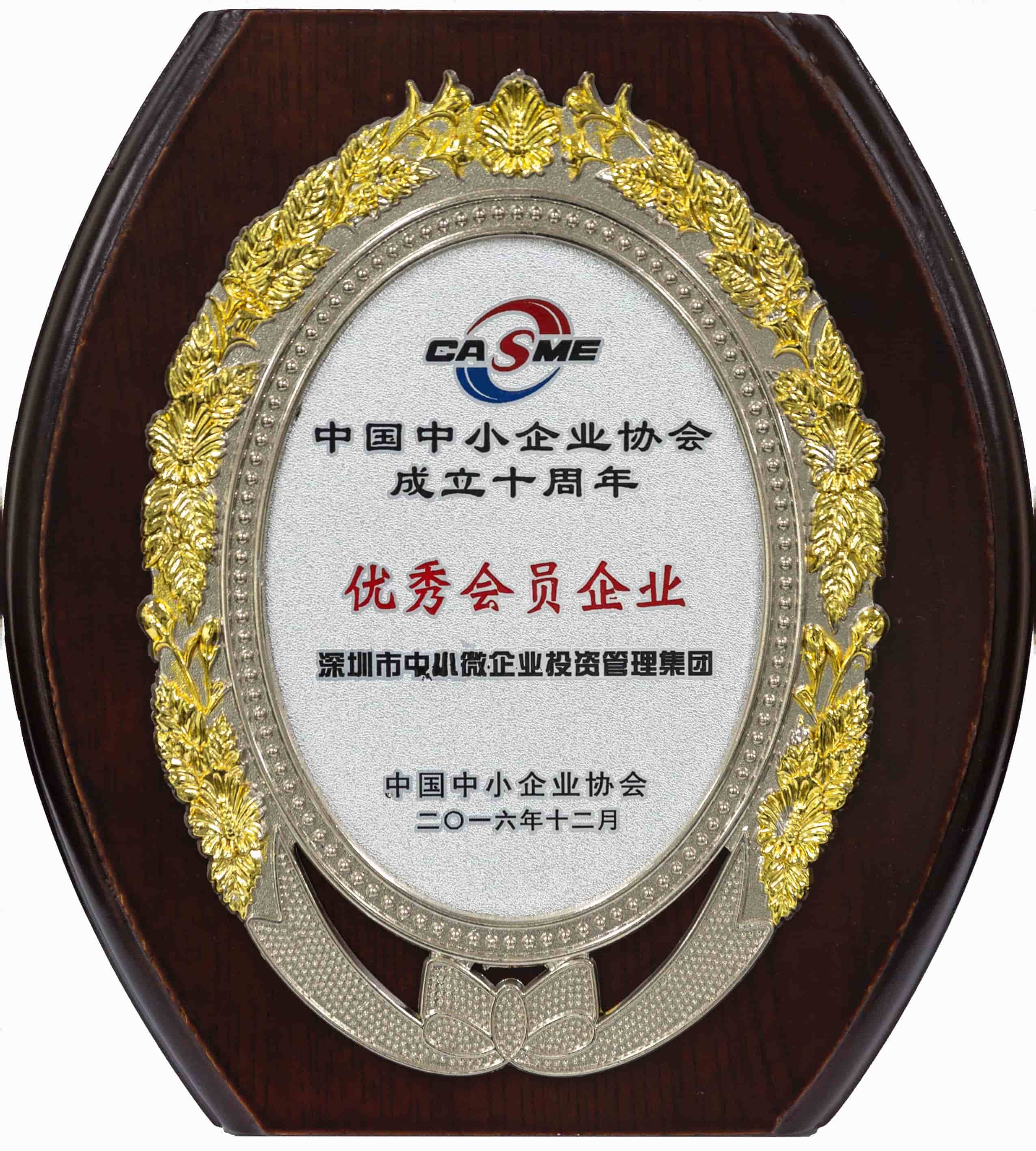 中国中小企业协会成立十周年优秀会员企业